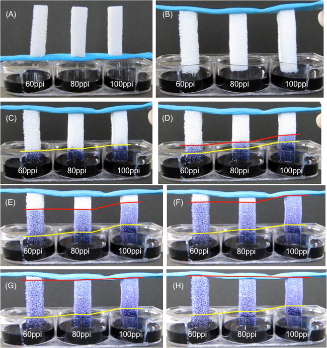 figure-results-5 Static equilibrium, capillary wicking, foam density, experiment, diagram, 60-100 ppi, liquid absorption.