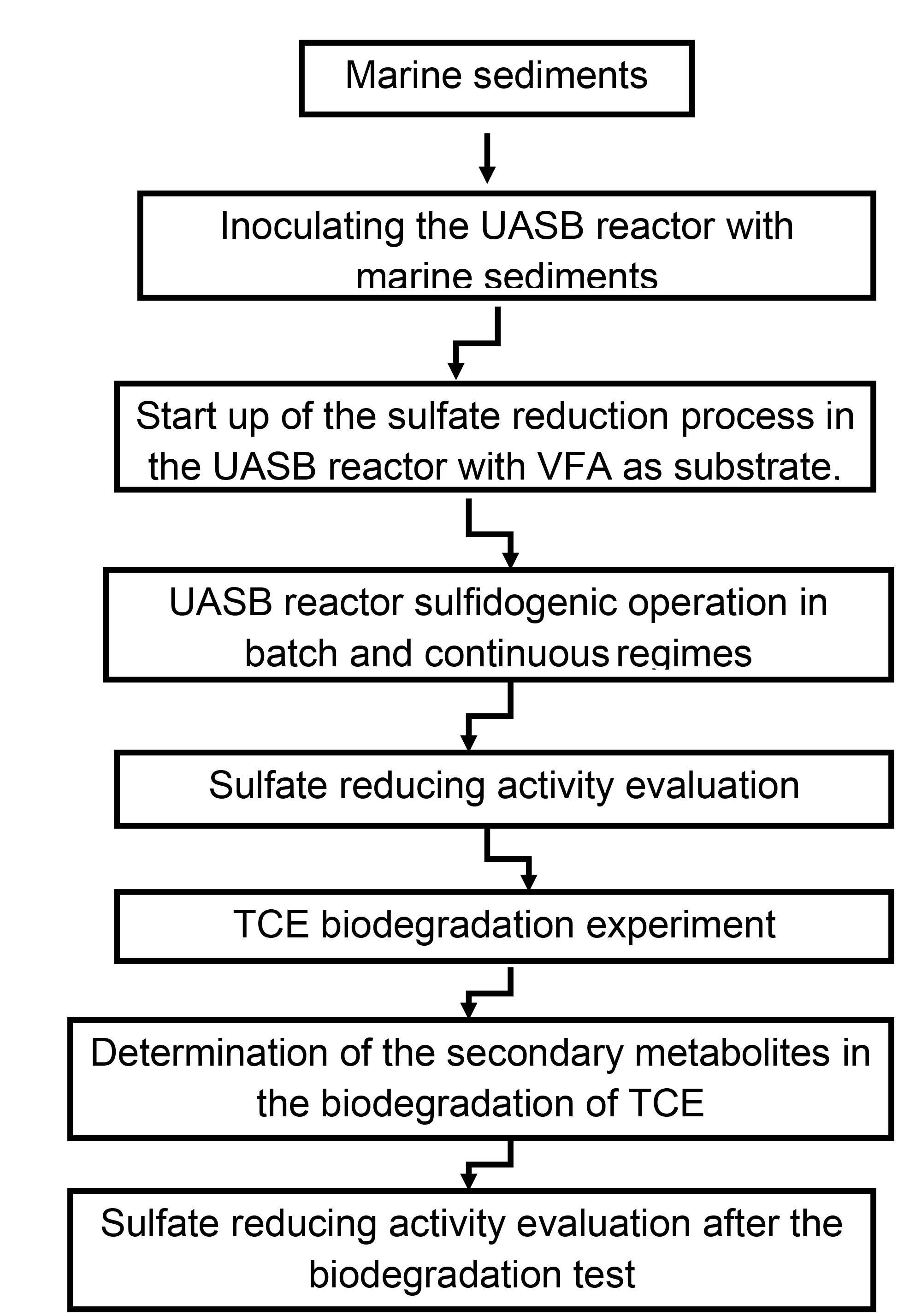 UASB reactor flowchart for sulfate reduction and TCE biodegradation using marine sediments.