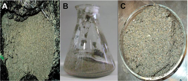 Soil composition analysis; sediment samples in flask and petri dish for texture evaluation, experiment.