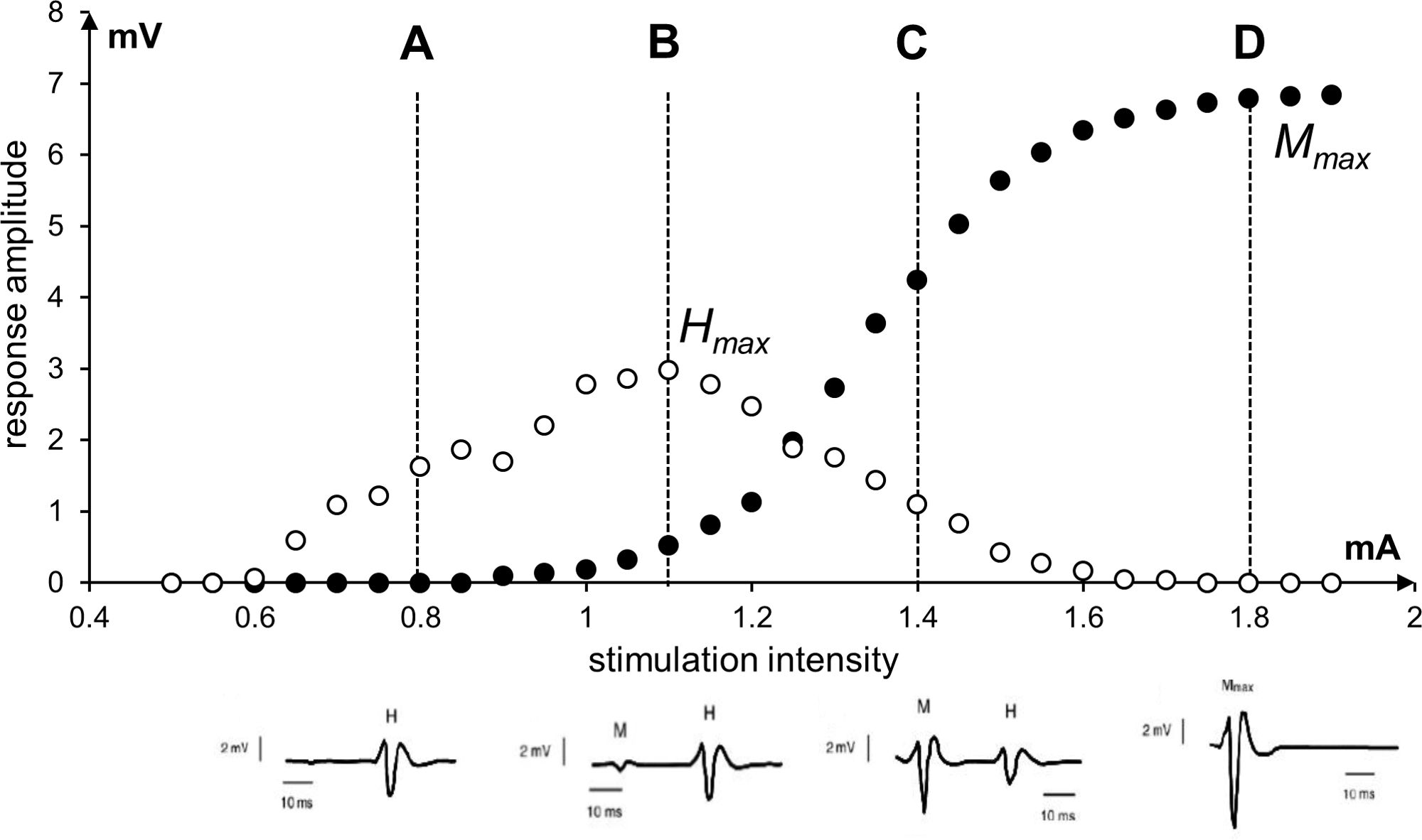 Modulation of spinal excitability following neuromuscular electrical  stimulation superimposed to voluntary contraction
