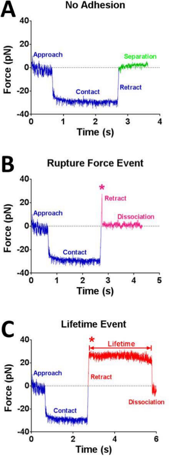 figure-results-1 figure-results-1