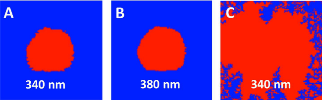 figure-results-3 Spectral analysis diagram; absorption at 340 nm and 380 nm; optical excitation comparison.
