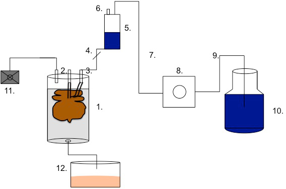figure-protocol-2