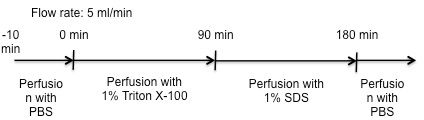 figure-protocol-3