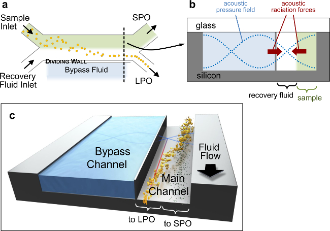 figure-protocol-1 Microfluidic system diagram for sample and fluid separation using acoustic forces and bypass channels.