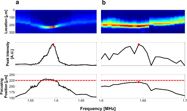 figure-protocol-3 Spectral analysis, frequency plot, intensity vs. position, optical absorption, diagram, MHz scale.