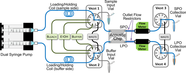 figure-protocol-4 Microfluidic flow system diagram with dual syringe pump, acoustic chip for sample processing.