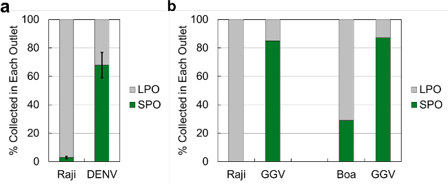 figure-results-3 Bar chart comparing LPO and SPO collection percentages across different outlets for Raji, DENV, GGV, Boa.