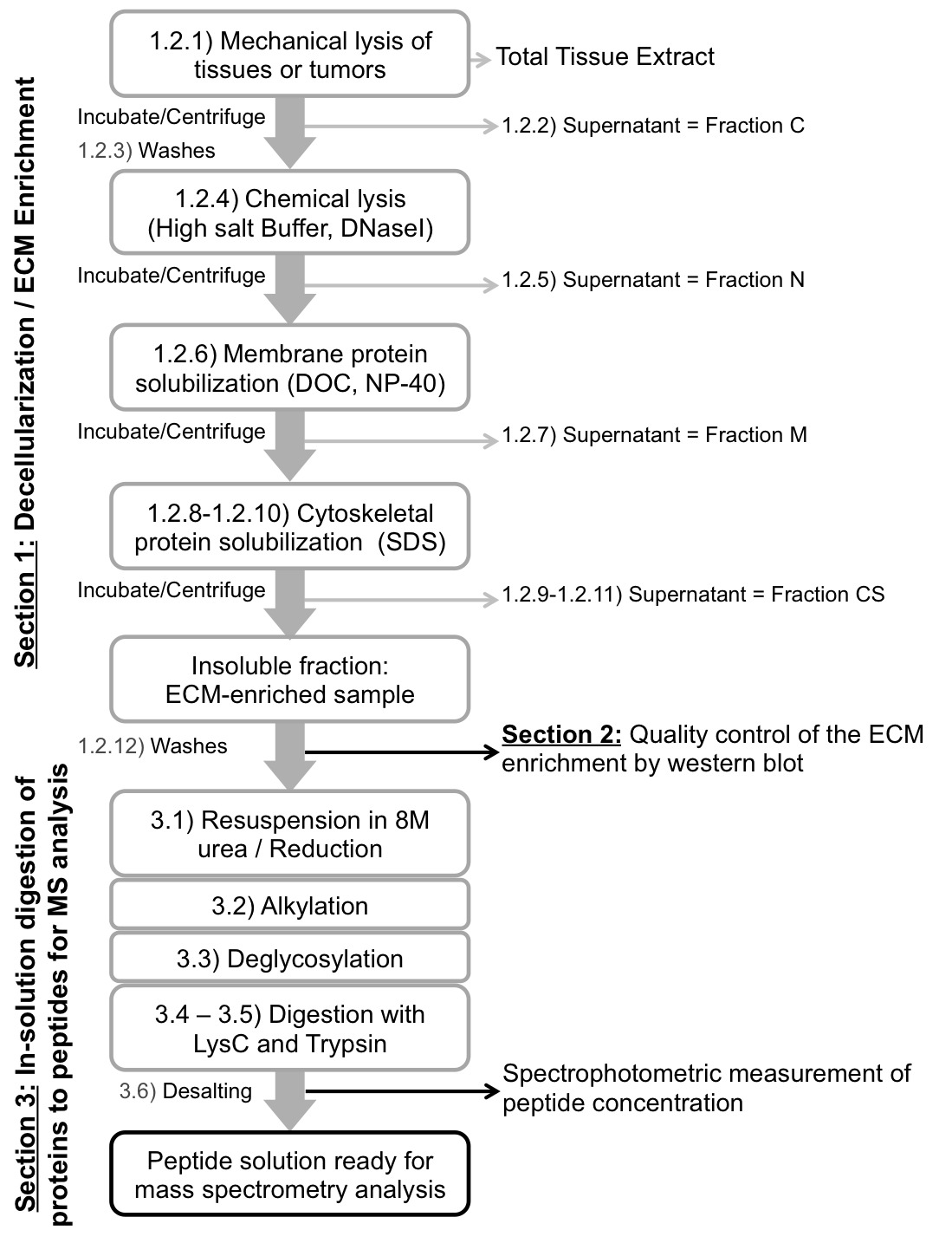 figure-results-1 Mechanical and chemical lysis diagram; ECM enrichment, protein solubilization, mass spectrometry prep.