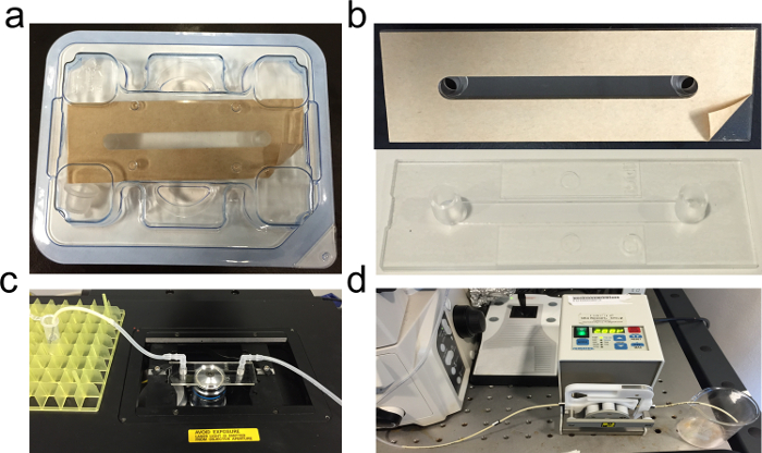 figure-results-1 Microfluidic device setup, channel design diagram, and pump system for fluid flow control.