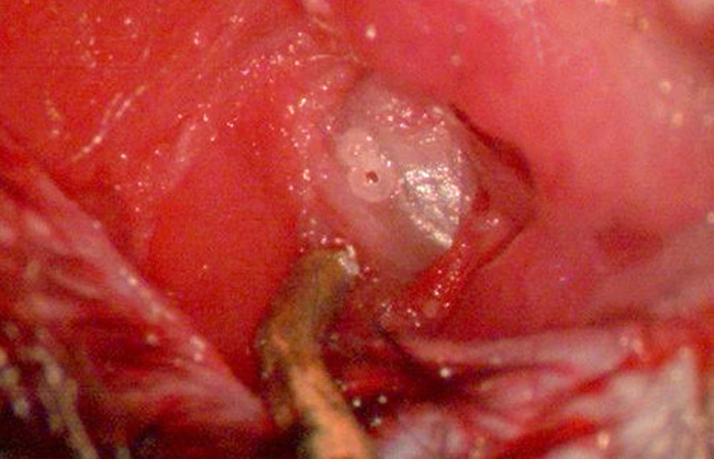 figure-results-7