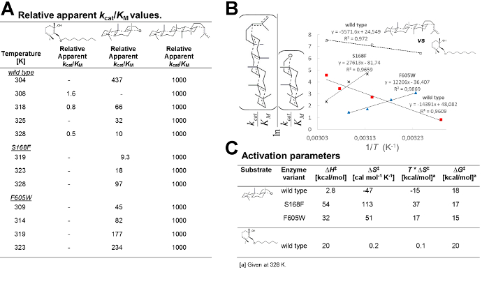 figure-results-3
