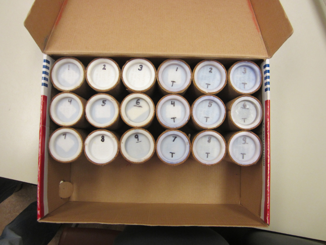 Cylindrical sample containers in grid, organized for biochemical analysis or storage system.
