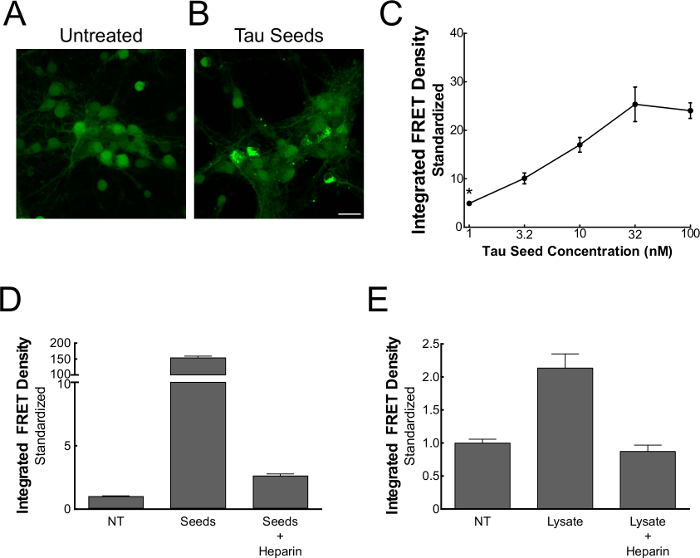 Sensitive Detection of Proteopathic Seeding Activity with FRET Flow ...