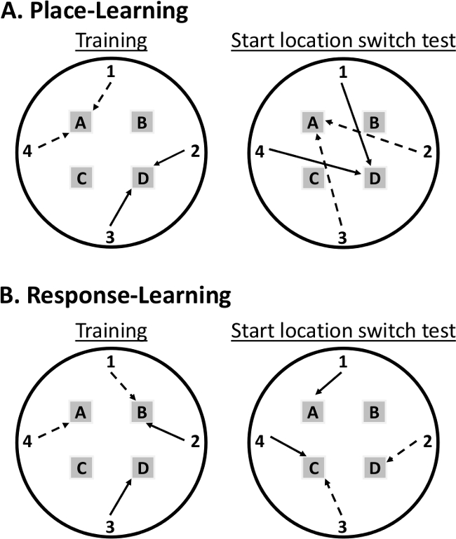 figure-protocol-2 figure-protocol-2