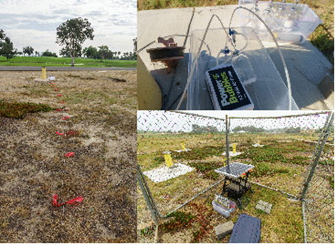 figure-results-3 greenhouse gas monitoring setup; soil chambers; field experiment; environmental research