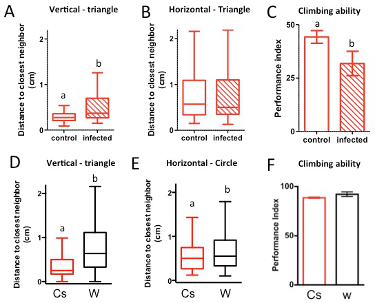 figure-results-3 Box plots of distance and performance indices in various experimental setups; triangle, circle, climbing.