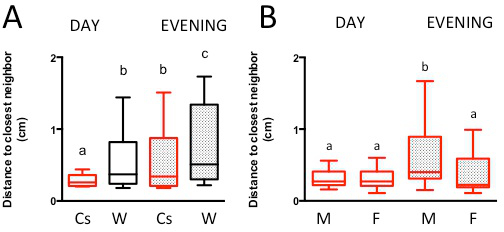 figure-results-4 Statistical analysis diagram comparing neighbor distances; box plots for day and evening conditions.