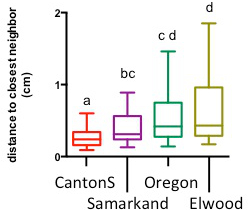figure-results-5 Box plot chart of distance to closest neighbor comparison in different groups; statistical analysis.