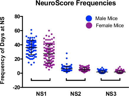 NeuroScore frequency comparison chart, male vs female mice, showing data distribution across NS stages.