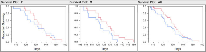 Survival analysis plots; male, female, all; Kaplan-Meier curves; days vs. proportion surviving.