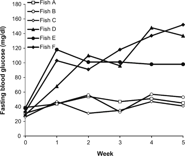 figure-results-5 Line graph of fasting blood glucose trends in fish over 5 weeks, comparing six subjects.
