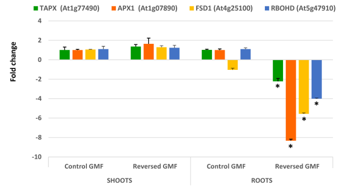 figure-results-3