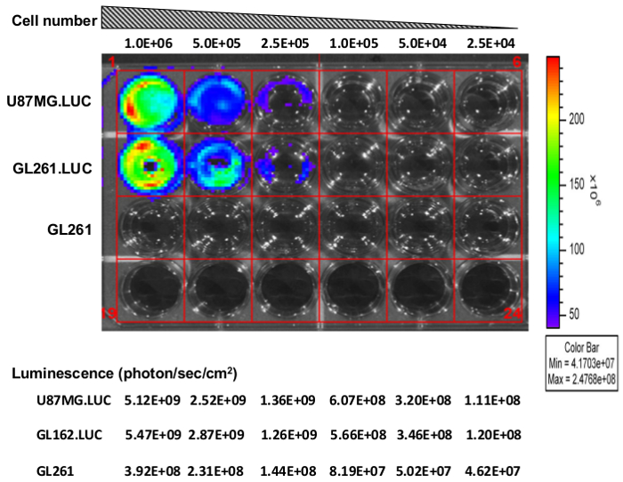 Bioluminescence assay results; cell density vs. luminescence, color scale, multi-well plate diagram.