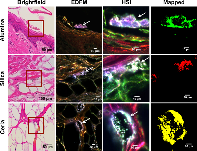 Multimodal imaging comparison of alumina, silica, ceria using brightfield, EDFM, HSI, mapping.