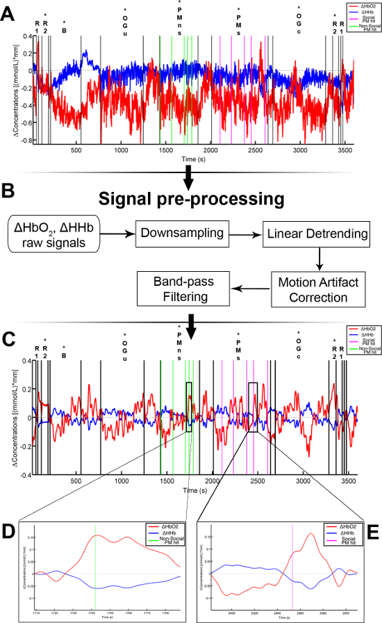 Signal processing diagram for ΔHbO₂, ΔHHb raw signals; includes pre-processing flowchart and graphs.