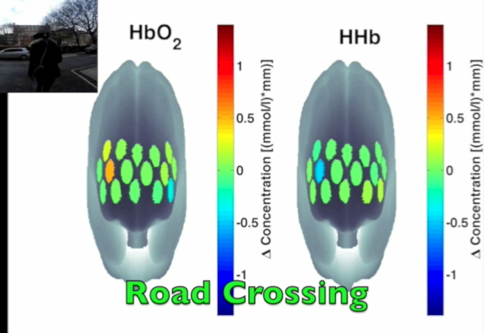 fNIRS brain activity map, HbO2 and HHb concentration change, diagram, road crossing experiment.