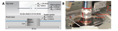 figure-results-1 Static equilibrium diagram and microscopy setup for fluid dynamics experiment.