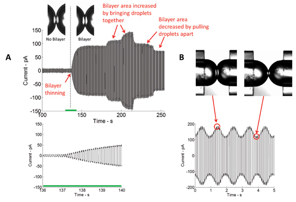 figure-results-4 Droplet bilayer formation graph; current vs. time; bilayer area changes by droplet separation; analysis.