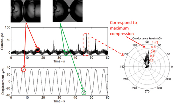 figure-results-5 Dynamic response diagram; mechanical oscillation and current vs. time graphs with conductance chart.