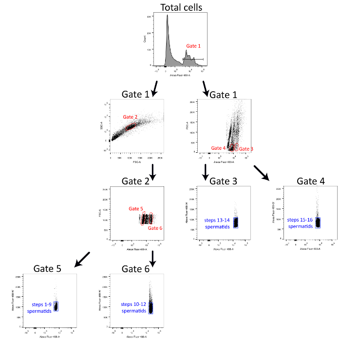 figure-results-1