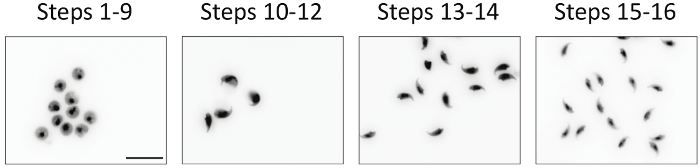 figure-results-2