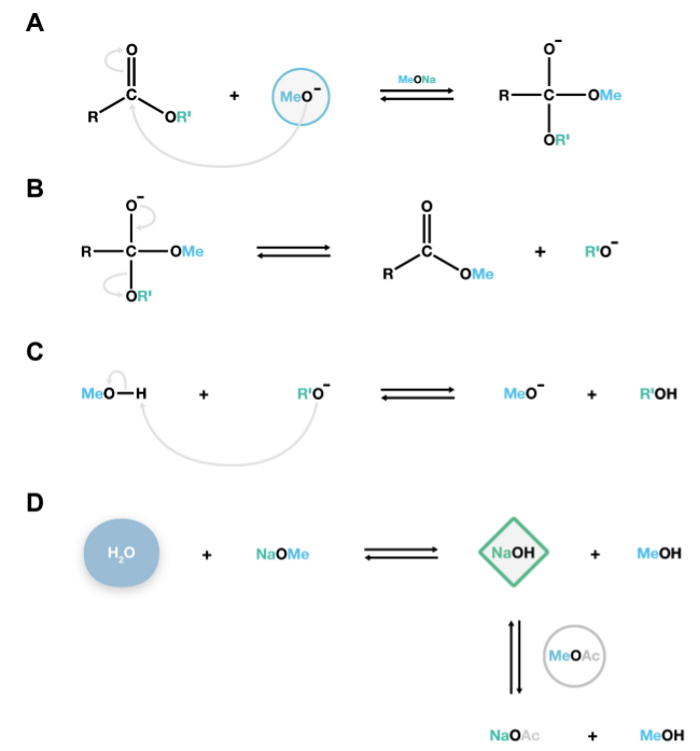 figure-results-2 Ester hydrolysis mechanism with chemical equations; four-step reaction diagram for educational use.