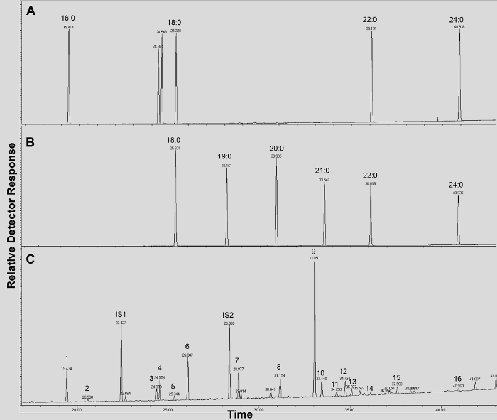 figure-results-8 Chromatography graph showing detector response over time; peaks indicate separation results.
