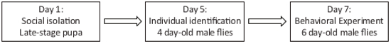 figure-protocol-1