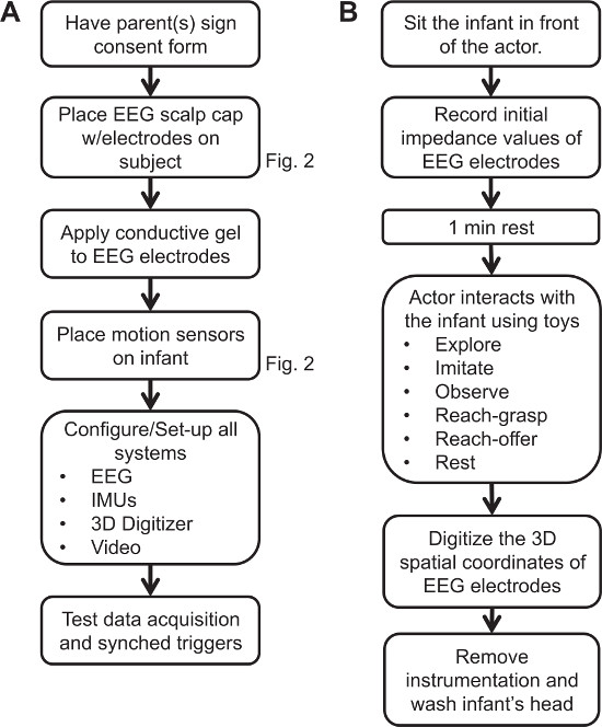 EEG infant study procedure; flowchart; EEG setup; motion sensors; interactive toys; data acquisition.