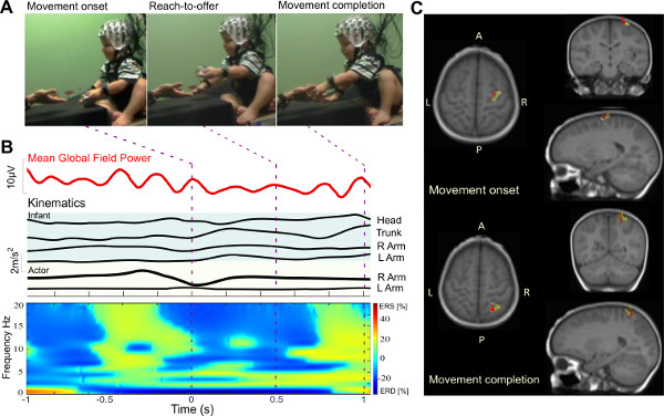Infant brain activity during movement; EEG and fMRI data; kinematics; power spectra analysis.