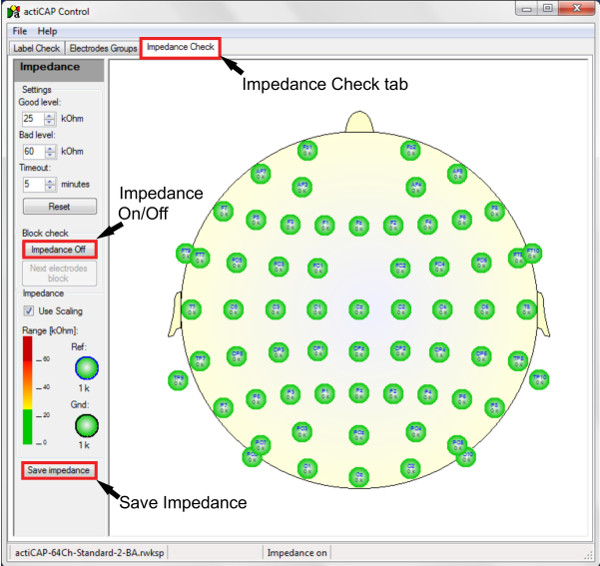 EEG impedance check diagram; actiCAP control interface for electrode setup and impedance monitoring.
