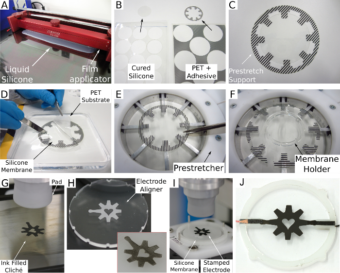 figure-results-4 Silicone membrane fabrication; substrate preparation, prestretcher, electrode stamping process.