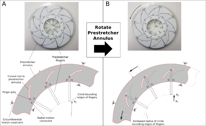 figure-results-5 Prestretcher annulus diagram; illustrates motion constraints and finger rotation mechanism.