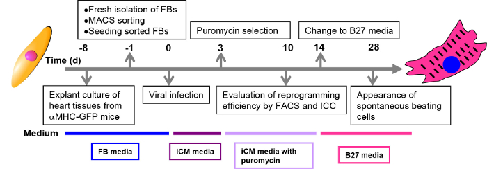 figure-results-1