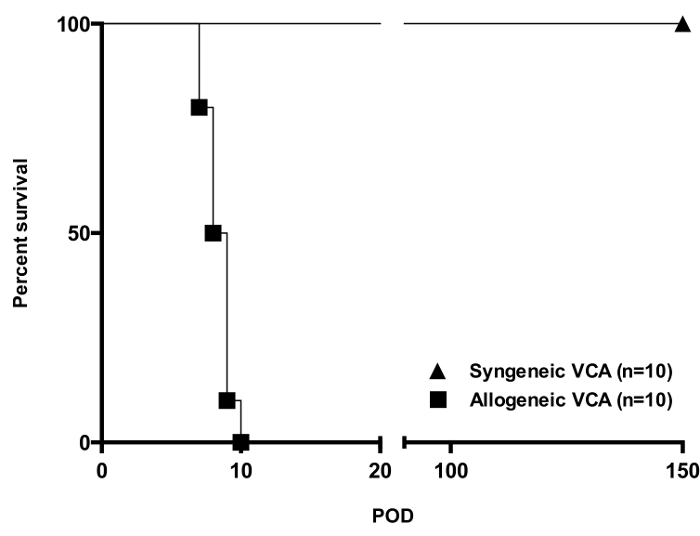 figure-results-1 figure-results-1