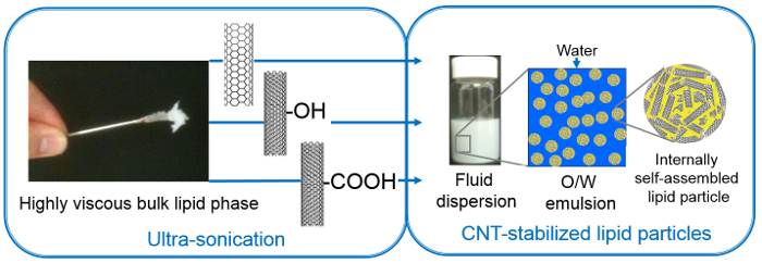 Ultra-sonication method diagram for CNT-stabilized lipid particles, showing O/W emulsion formation.