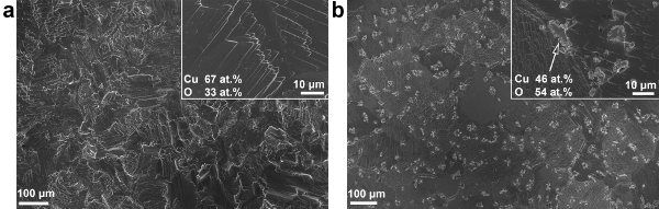 figure-results-5 Scanning electron microscopy results showing copper-oxygen alloy composition, microstructure analysis.