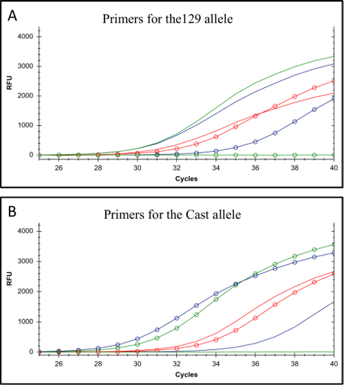 figure-results-1 PCR analysis graph; DNA amplification cycles for 129 and Cast alleles; fluorescence quantification.