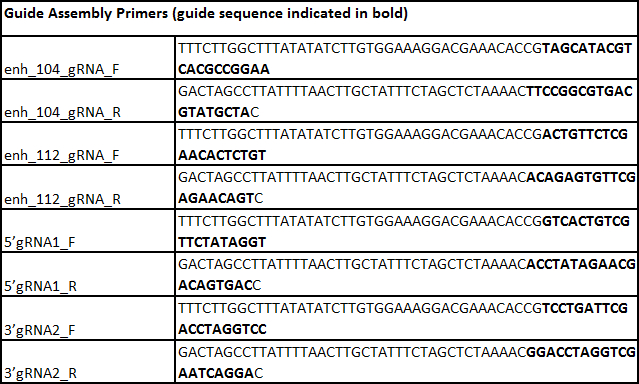 figure-results-6 Guide assembly primers chart with bold gRNA sequences for gene editing analysis.